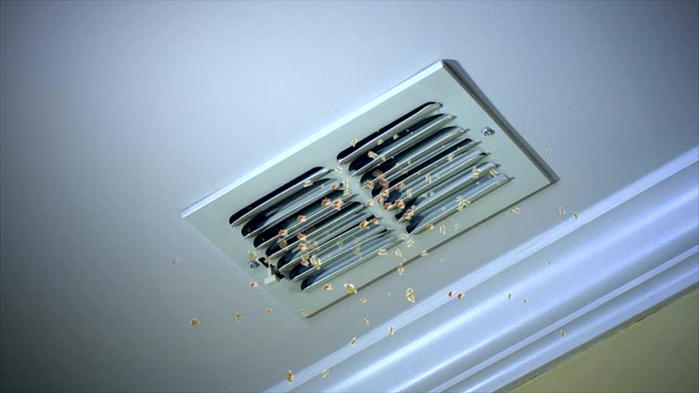 Best Emergency Air Duct Cleaning  in Rankin, TX