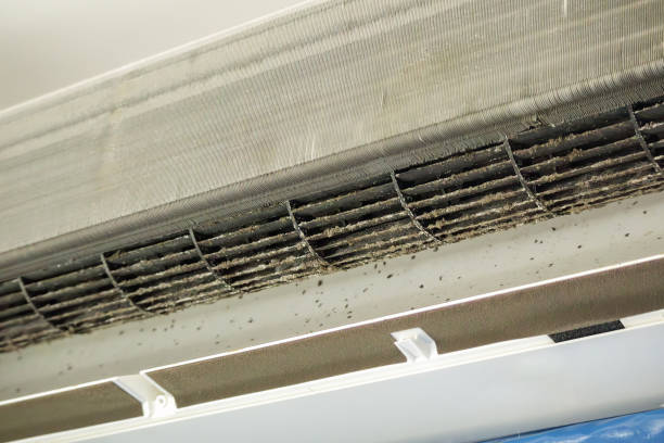 Best HVAC Air Duct Cleaning  in Rankin, TX